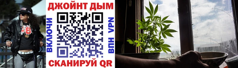 Купить где  Бабушкин  Канабис ГИДРОПОН 